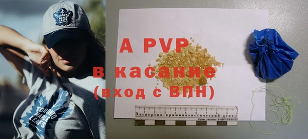 СК Алексин