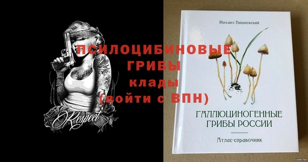 соль курить ск Алзамай