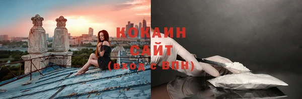 дмт Семилуки