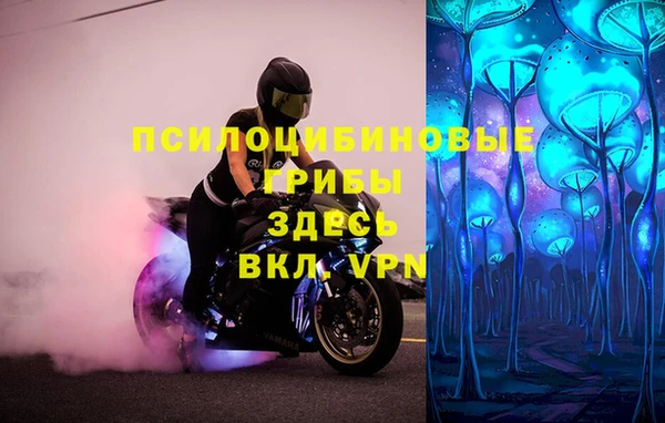СК Алексин