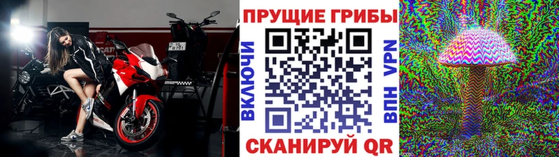 где продают гидра вход Галлюциногенные грибы Psilocybine cubensis Красноуральск